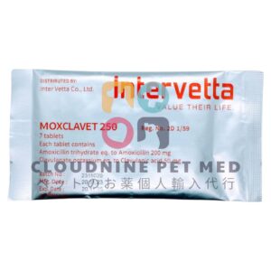 モククラベット(Moxclavet) 250mg