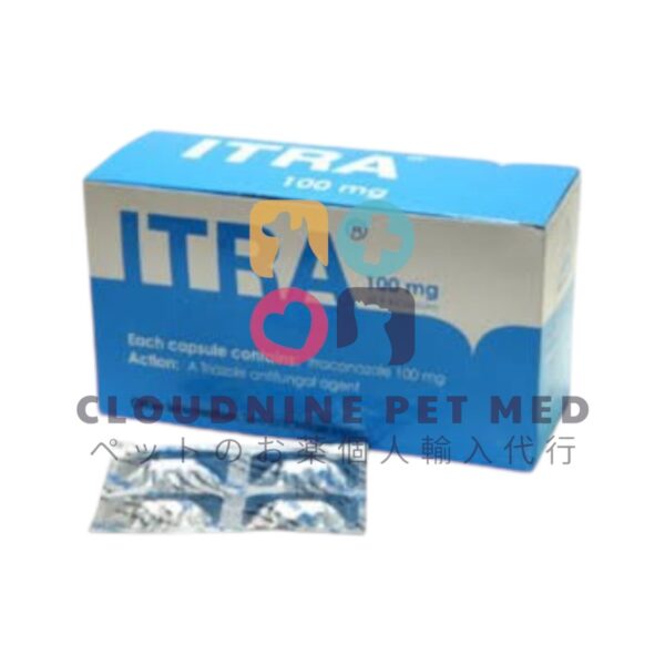 ITRA (イトラコナゾール) 100mg 100錠入り