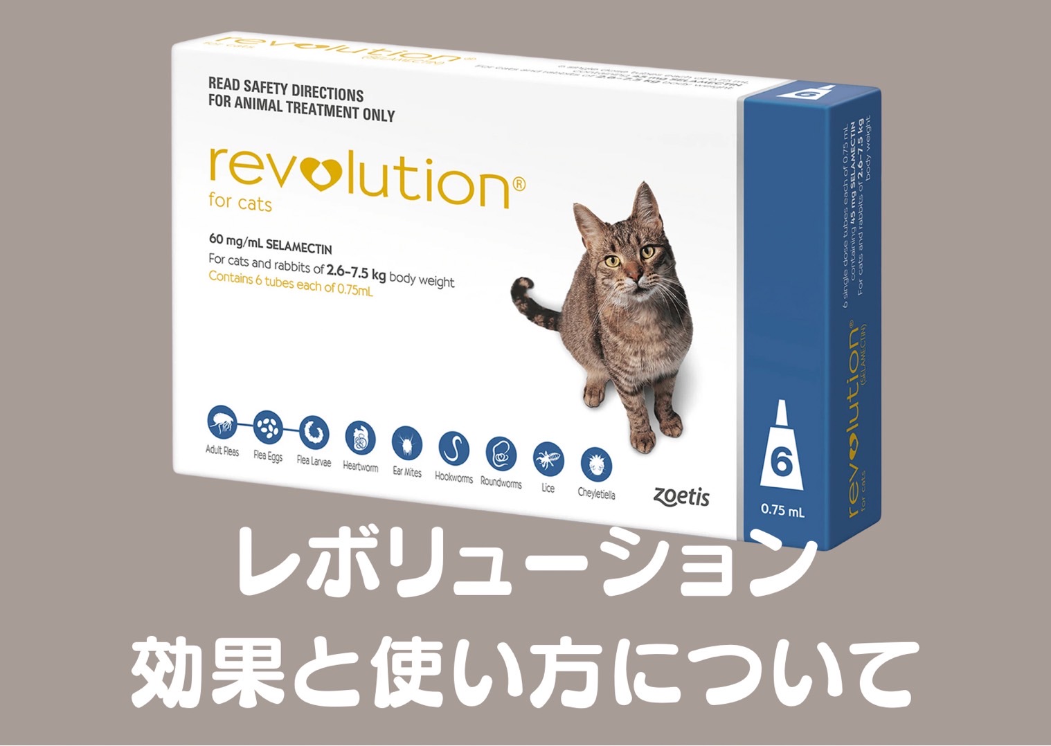 猫のノミ・ダニ対策に！レボリューションの効果と使い方 - クラウドナインペットメッド個人輸入代行